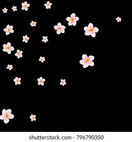Festive Background with plumerias. Feminine Pattern for Postcard, Print, Banner or Poster. Small Pretty  flowers For Party Decoration, Wedding, Birthday or Anniversary Invitation.