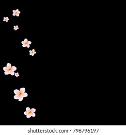 Festive Background with plumerias. Feminine Pattern for Postcard, Print, Banner or Poster. Small Pretty  flowers For Party Decoration, Wedding, Birthday or Anniversary Invitation.