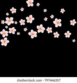 Festive Background with plumerias. Feminine Pattern for Postcard, Print, Banner or Poster. Small Pretty  flowers For Party Decoration, Wedding, Birthday or Anniversary Invitation.