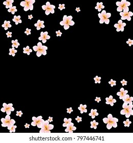 Festive Background with plumerias. Feminine Pattern for Postcard, Print, Banner or Poster. Small Pretty  flowers For Party Decoration, Wedding, Birthday or Anniversary Invitation.