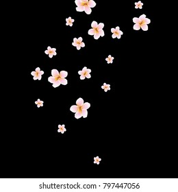 Festive Background with plumerias. Feminine Pattern for Postcard, Print, Banner or Poster. Small Pretty  flowers For Party Decoration, Wedding, Birthday or Anniversary Invitation.