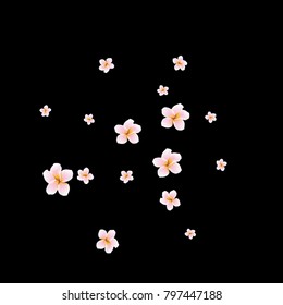 Festive Background with plumerias. Feminine Pattern for Postcard, Print, Banner or Poster. Small Pretty  flowers For Party Decoration, Wedding, Birthday or Anniversary Invitation.