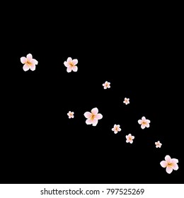 Festive Background with plumerias. Feminine Pattern for Postcard, Print, Banner or Poster. Small Pretty  flowers For Party Decoration, Wedding, Birthday or Anniversary Invitation