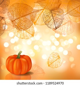 Festive background with pumpkin for Thanksgiving Day or Halloween, a vectorial format