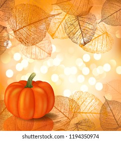 Festive background with pumpkin for Thanksgiving Day or Halloween, a vectorial format