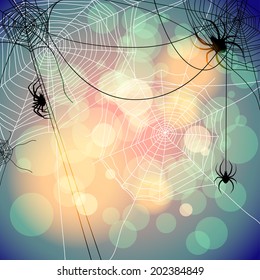 Festive background with spiders and web. Place for text