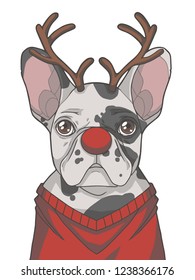 Festive black and white pied French Bulldog dog dressed up as Christmas reindeer with antlers and red nose graphic vector illustration