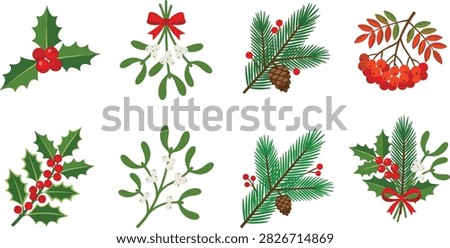 Festive botanical collection featuring holly leaves, mistletoe, pine branches, pine cones, red berries, and seasonal greenery. Ideal for Christmas cards, holiday invitations, gift packaging, greeting designs, seasonal branding, and winter decorations.