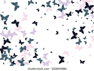 Festive butterfly confetti background. Frame vector pattern texture for holiday, postcard, poster, carnival, banner, birthday and children's parties. Butterfly cover mock-up. Wedding butterfly layout