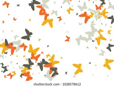 Festive butterfly confetti background. Frame vector pattern texture for holiday, postcard, poster, carnival, banner, birthday and children's parties. Butterfly cover mock-up. Wedding butterfly layout