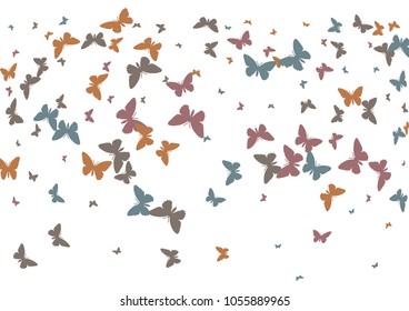 Festive butterfly confetti background. Frame vector pattern texture for holiday, postcard, poster, carnival, banner, birthday and children's parties. Butterfly cover mock-up. Wedding butterfly layout