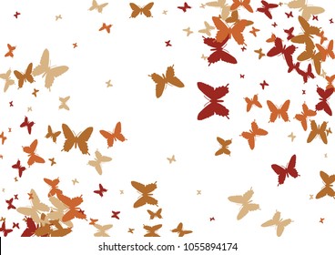 Festive butterfly confetti background. Frame vector pattern texture for holiday, postcard, poster, carnival, banner, birthday and children's parties. Butterfly cover mock-up. Wedding butterfly layout