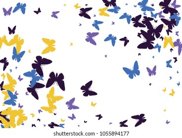 Festive butterfly confetti background. Frame vector pattern texture for holiday, postcard, poster, carnival, banner, birthday and children's parties. Butterfly cover mock-up. Wedding butterfly layout