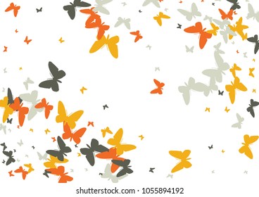 Festive butterfly confetti background. Frame vector pattern texture for holiday, postcard, poster, carnival, banner, birthday and children's parties. Butterfly cover mock-up. Wedding butterfly layout