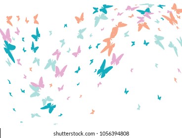 Festive butterfly confetti background. Frame vector pattern texture for holiday, postcard, poster, carnival, banner, birthday and children's parties. Butterfly cover mock-up. Wedding butterfly layout