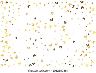 Festive butterfly confetti background. Frame vector pattern texture for holiday, postcard, poster, carnival, banner, birthday and children's parties. Butterfly cover mock-up. Wedding butterfly layout