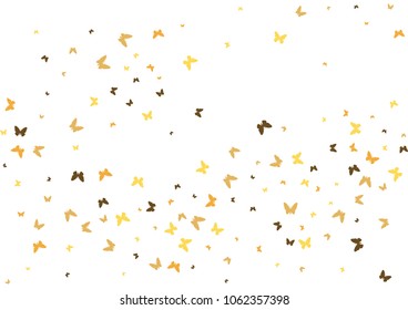 Festive butterfly confetti background. Frame vector pattern texture for holiday, postcard, poster, carnival, banner, birthday and children's parties. Butterfly cover mock-up. Wedding butterfly layout