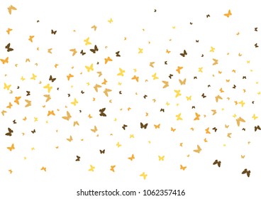 Festive butterfly confetti background. Frame vector pattern texture for holiday, postcard, poster, carnival, banner, birthday and children's parties. Butterfly cover mock-up. Wedding butterfly layout