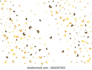 Festive butterfly confetti background. Frame vector pattern texture for holiday, postcard, poster, carnival, banner, birthday and children's parties. Butterfly cover mock-up. Wedding butterfly layout