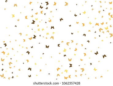 Festive butterfly confetti background. Frame vector pattern texture for holiday, postcard, poster, carnival, banner, birthday and children's parties. Butterfly cover mock-up. Wedding butterfly layout