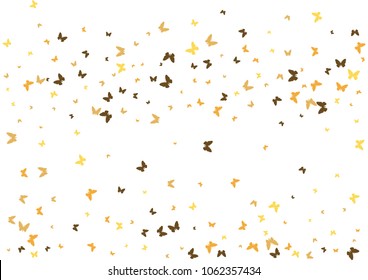 Festive butterfly confetti background. Frame vector pattern texture for holiday, postcard, poster, carnival, banner, birthday and children's parties. Butterfly cover mock-up. Wedding butterfly layout