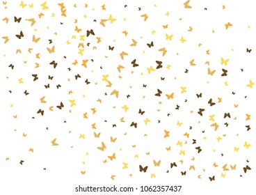 Festive butterfly confetti background. Frame vector pattern texture for holiday, postcard, poster, carnival, banner, birthday and children's parties. Butterfly cover mock-up. Wedding butterfly layout