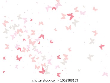 Festive butterfly confetti background. Frame vector pattern texture for holiday, postcard, poster, carnival, banner, birthday and children's parties. Butterfly cover mock-up. Wedding butterfly layout