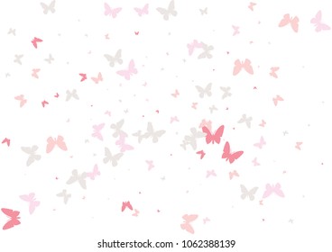 Festive butterfly confetti background. Frame vector pattern texture for holiday, postcard, poster, carnival, banner, birthday and children's parties. Butterfly cover mock-up. Wedding butterfly layout