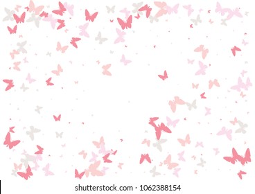 Festive butterfly confetti background. Frame vector pattern texture for holiday, postcard, poster, carnival, banner, birthday and children's parties. Butterfly cover mock-up. Wedding butterfly layout