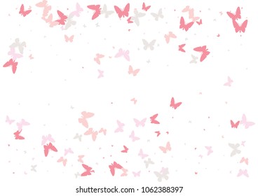 Festive butterfly confetti background. Frame vector pattern texture for holiday, postcard, poster, carnival, banner, birthday and children's parties. Butterfly cover mock-up. Wedding butterfly layout
