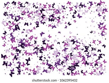 Festive butterfly confetti background. Frame vector pattern texture for holiday, postcard, poster, carnival, banner, birthday and children's parties. Butterfly cover mock-up. Wedding butterfly layout
