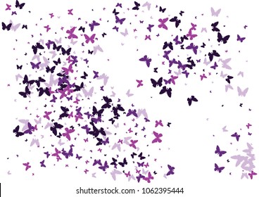 Festive butterfly confetti background. Frame vector pattern texture for holiday, postcard, poster, carnival, banner, birthday and children's parties. Butterfly cover mock-up. Wedding butterfly layout