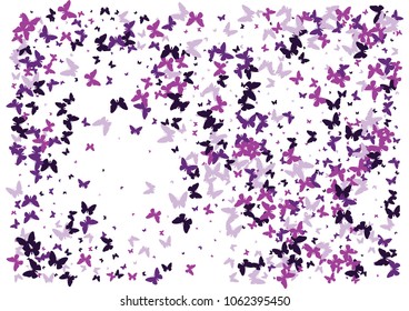 Festive butterfly confetti background. Frame vector pattern texture for holiday, postcard, poster, carnival, banner, birthday and children's parties. Butterfly cover mock-up. Wedding butterfly layout