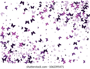 Festive butterfly confetti background. Frame vector pattern texture for holiday, postcard, poster, carnival, banner, birthday and children's parties. Butterfly cover mock-up. Wedding butterfly layout