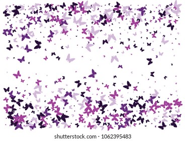 Festive butterfly confetti background. Frame vector pattern texture for holiday, postcard, poster, carnival, banner, birthday and children's parties. Butterfly cover mock-up. Wedding butterfly layout
