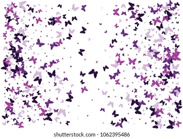 Festive butterfly confetti background. Frame vector pattern texture for holiday, postcard, poster, carnival, banner, birthday and children's parties. Butterfly cover mock-up. Wedding butterfly layout