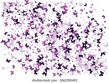 Festive butterfly confetti background. Frame vector pattern texture for holiday, postcard, poster, carnival, banner, birthday and children's parties. Butterfly cover mock-up. Wedding butterfly layout
