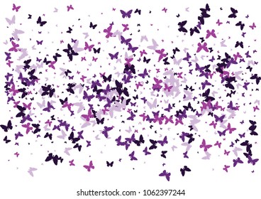 Festive butterfly confetti background. Frame vector pattern texture for holiday, postcard, poster, carnival, banner, birthday and children's parties. Butterfly cover mock-up. Wedding butterfly layout