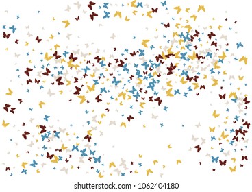 Festive butterfly confetti background. Frame vector pattern texture for holiday, postcard, poster, carnival, banner, birthday and children's parties. Butterfly cover mock-up. Wedding butterfly layout