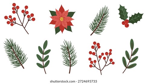 festivo Natal elementos botânicos bagas de pinheiro holly
