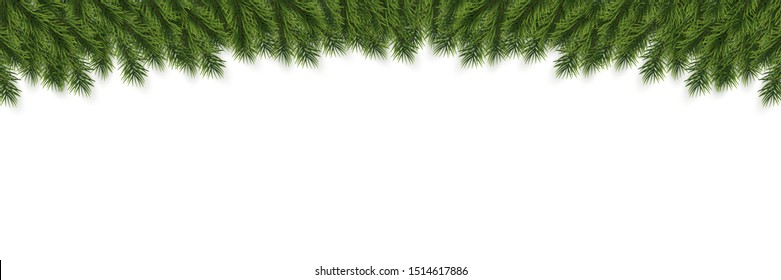 Festive Christmas or New Year Background. Christmas Tree Branches. Holiday's Background. Vector illustration.