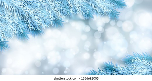 Festive Christmas or New Year Background. Blue Christmas Fir-Tree Branches. Holiday's Background. Vector illustration.
