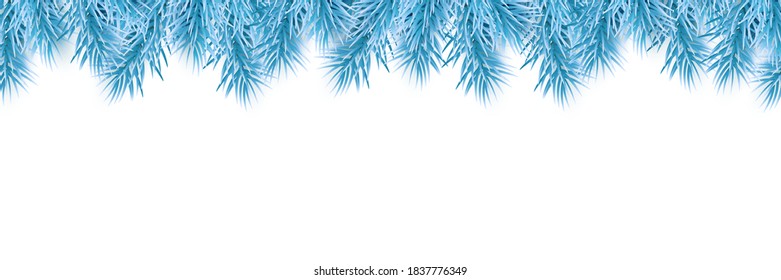 Festive Christmas or New Year Background. Blue Christmas Fir-Tree Branches. Holiday's Background. Vector illustration.