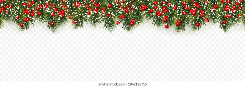 Festive Christmas or New Year Background. Christmas tree branches with holly berries. Holiday's Background. Vector illustration.