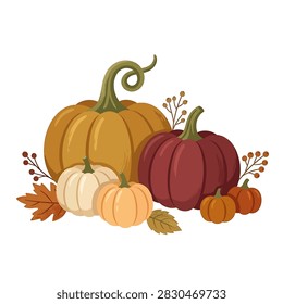 A festive collection of various pumpkins and gourds in orange white and dark red colors accented with fall leaves and berries on a white background