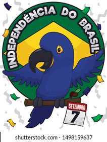 Festive design with round button and cute, blue hyacinth macaw standing on a coffee twig with reminder date to celebrate Brazil Independence Day (written in Portuguese) in September 7.