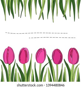 Festive design template with pink tulips on a white background. Card with tulips. Mother's day