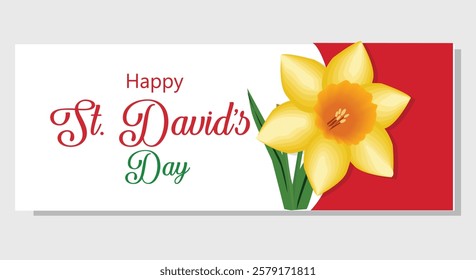 A festive digital greeting card for St Davids Day featuring a bright yellow daffodil on a red and white background symbolizing Welsh culture and national pride