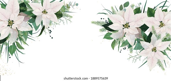 Festive elegant winter season floral site banner cover design. White Poinsettia flowers, Christmas spruce tree twigs, Eucalyptus greenery branches, green leaves, herbs watercolor editable illustration