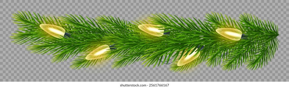 Festive fir branch with shimmering, golden Christmas light garland on transparent background. For holiday Christmas, New Year cards, banners, party posters and winter celebrations. Vector illustration
